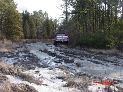 1995 Dodge 1500 - A red pickup truck navigates a challenging, icy path surrounded by dense woods.