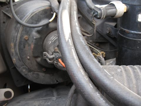 1994 Ford Bronco - This image shows a close-up view of a vehicle's blower motor and associated hoses.
