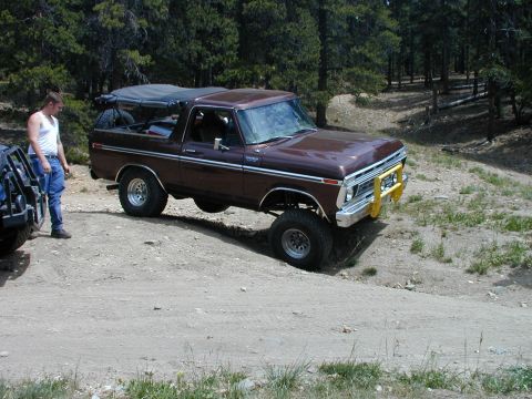1979 Ford Bronco - Off-road Bronco parked on a dirt path with trees in the background.