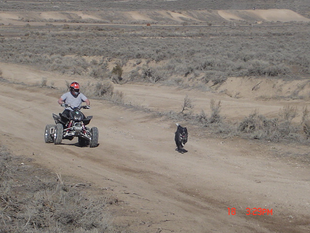 Drag racing my best friend.