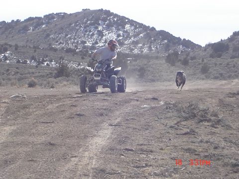 1981 Ford Bronco - I think I might have jumped the start