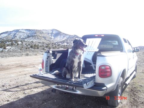 1981 Ford Bronco - Break time.