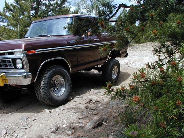 Dark brown late-70s Ford Bronco on mud tires parked on a rocky pine trail