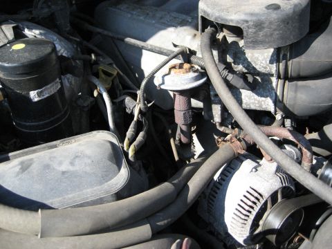 1994 Ford Bronco - Close-up view of the engine bay of a 1994 Ford Bronco, showing mechanical components and wiring.