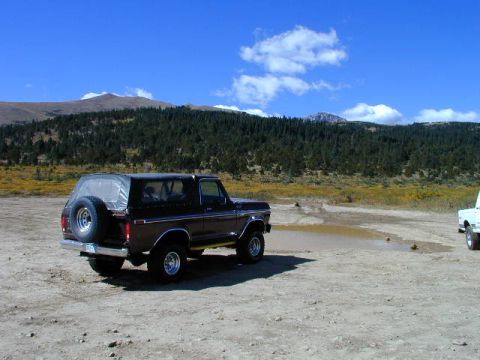 1979 Ford Bronco - A brown Ford Bronco is parked on a dirt road with a wooded mountain range in the background.
