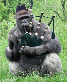 1990 Ford Bronco - Gorilla playing bagpipes in a grassy outdoor setting.