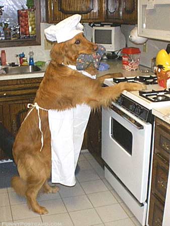 1990 Ford Bronco - Dog dressed as a chef stands at a kitchen stove, holding oven mitts.