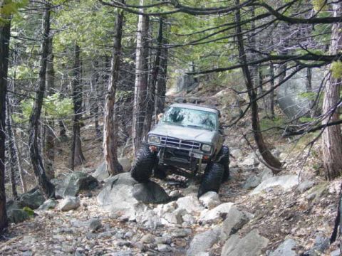 1986 Ford Bronco - An off-road SUV navigates a challenging, rocky path through a dense forest.