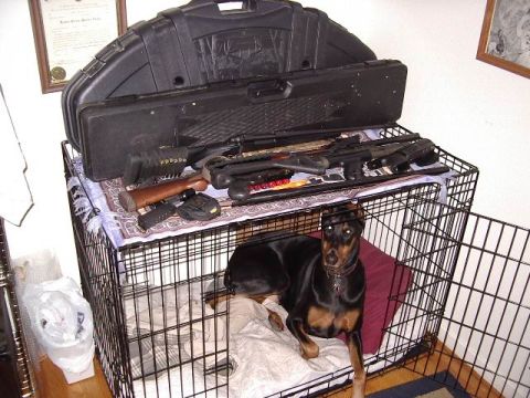1985 Ford Bronco - A Doberman rests inside a dog crate, with firearms and a large case stacked above.