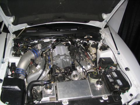 1993 Ford Taurus - Customized engine bay a prominent supercharger and aftermarket components.