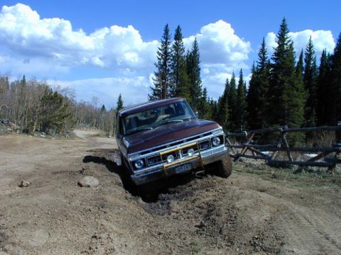 1979 Ford Bronco - This Ford F-Series truck is navigating a rough, muddy trail with trees in the background.