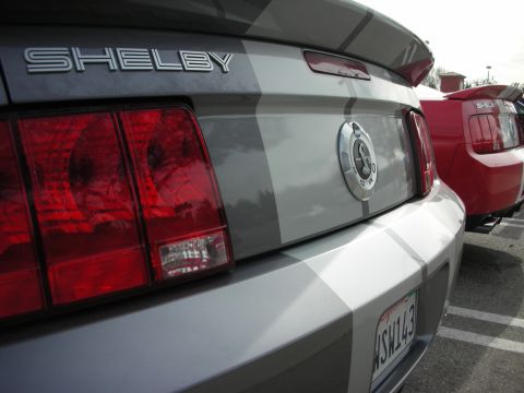 1998 Ford Crown Victoria - Rear detail of a silver Ford Mustang Shelby with SHELBY lettering, cobra fuel-cap badge and red taillights.