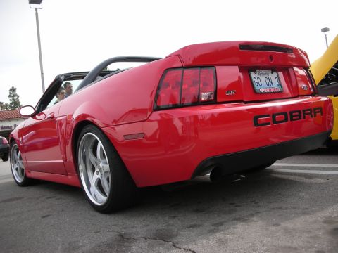 1998 Ford Crown Victoria - Rear three-quarter view of a red Ford Mustang SVT Cobra convertible with chrome wheels and a vanity plate at a car show.