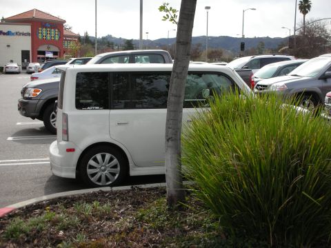 1998 Ford Crown Victoria - white boxy Scion xB sits in a parking lot beside ornamental grass and a tree, with other cars and a FedEx Kinkos storefront behind.