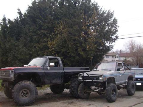 1984 Ford Bronco II photo