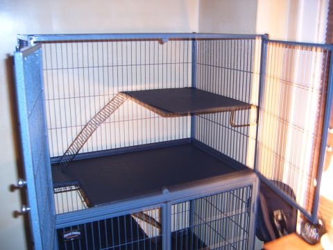 1993 Ford Bronco - An open pet cage with multiple levels and a ramp is shown.