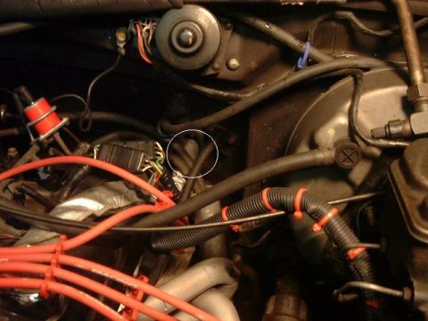 1986 Ford Bronco - My EFI harness goes in to the firewall between the throttle cable and the fuel pressure regulator. The EEC then mounts under the dash. The…