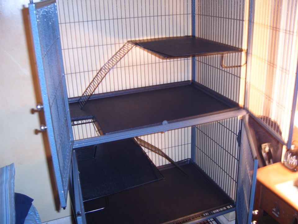 Multi-level pet cage interior with black platforms and ramps