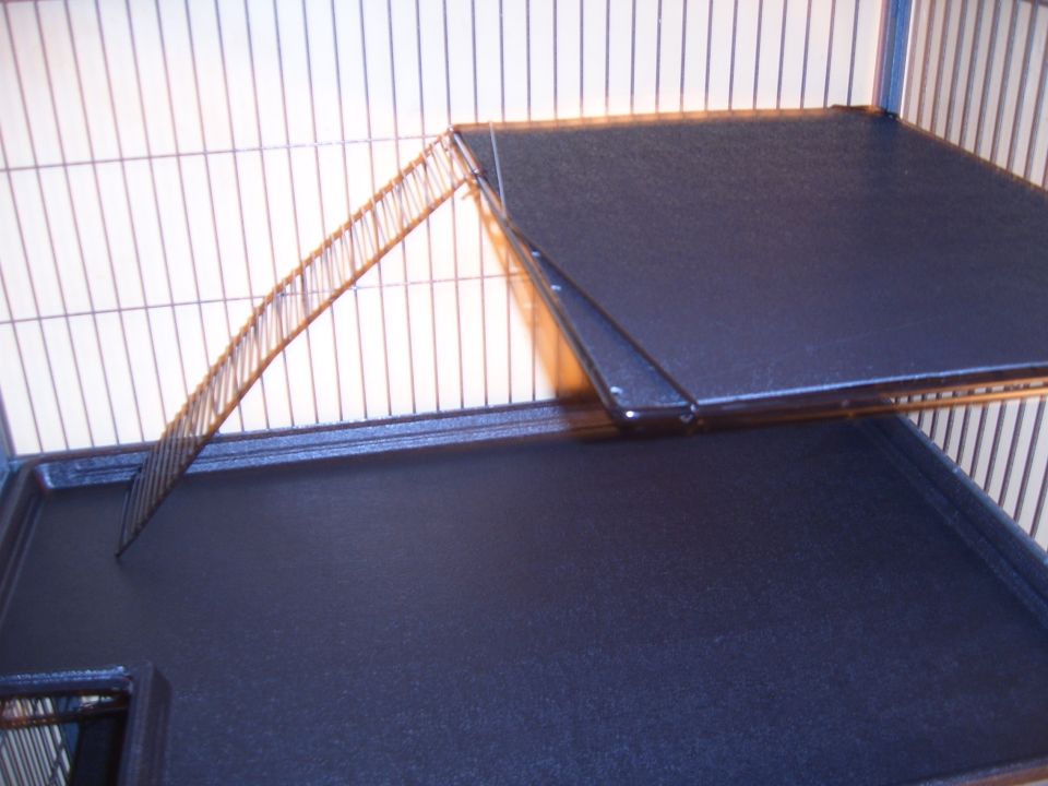 cage platforms and ramp