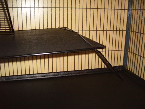 1993 Ford Bronco - The interior of a cage is shown, a black shelf and an attached ramp.