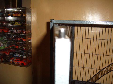 1993 Ford Bronco - Model race cars are displayed on shelves next to a pet cage.