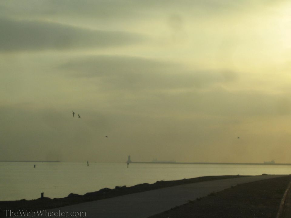 Calm bay at dusk with birds flying and a paved path along the shoreline