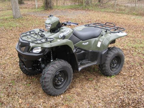 2004 Ford F-150 - This ATV is green with black racks and tires, parked on dry leaves.