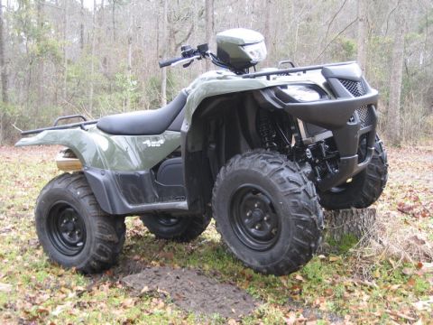 2004 Ford F-150 - This ATV is parked outdoors on a tree stump, with trees in the background.