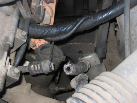 1991 Ford Bronco - Close-up view of damaged hoses and wiring within the engine compartment.