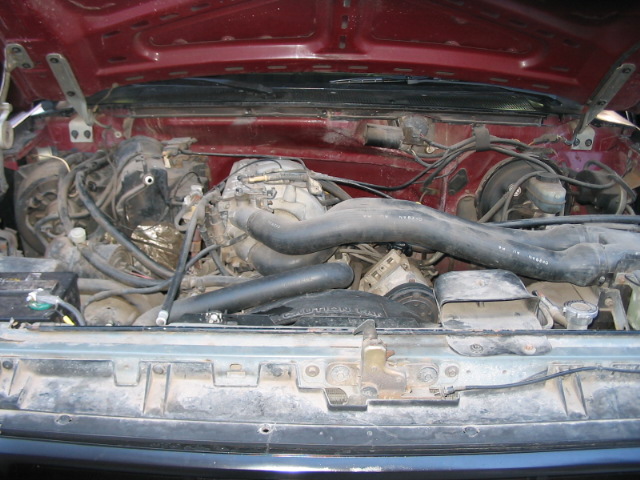 engine bay with hoses, wires, and engine components visible under the hood