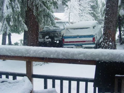 1986 Ford Bronco - Two trucks are parked outside during a heavy snowfall, with trees and snowdrifts surrounding them.