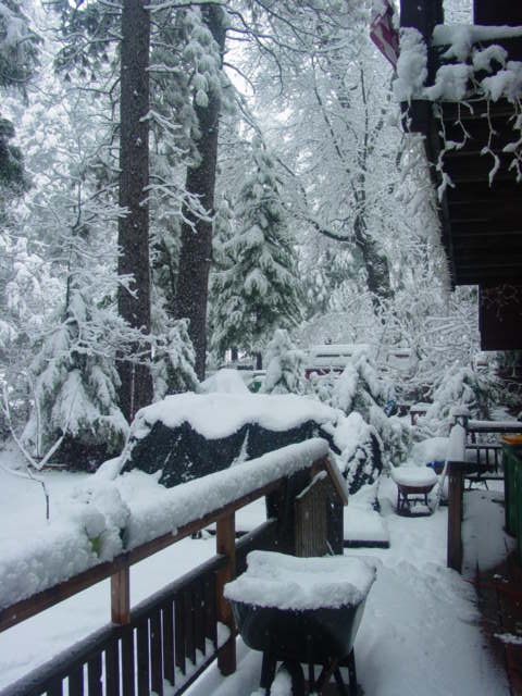 1986 Ford Bronco - A snowy scene in a backyard with trees and a deck, likely taken during winter.
