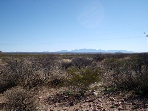 1996 Ford Bronco - A vast desert scene stretches out under a clear blue sky, with mountains visible on the horizon.