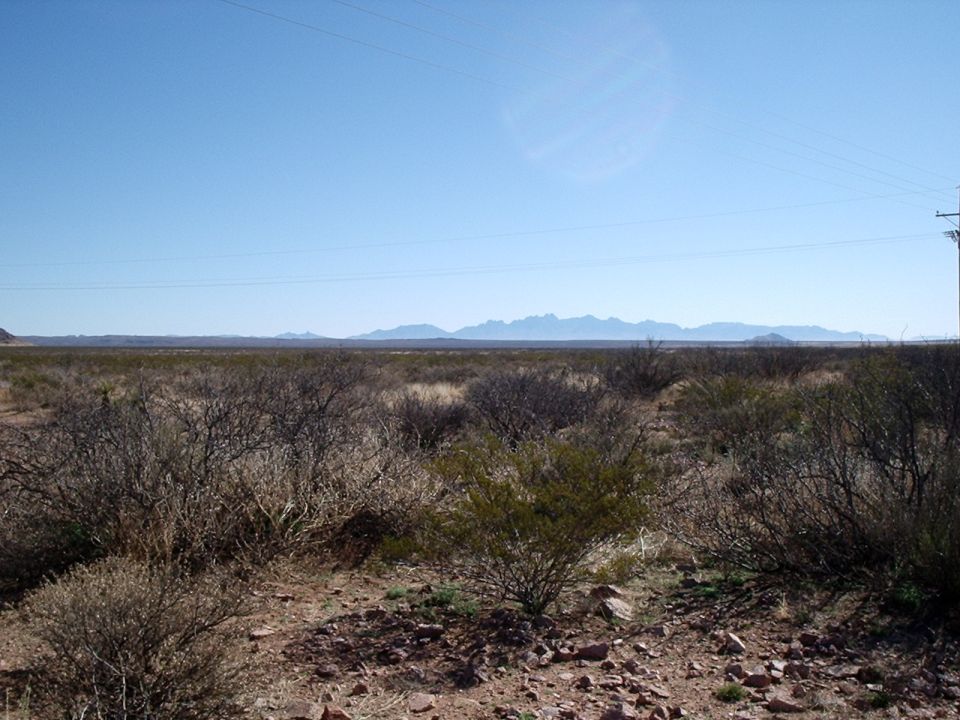 wide desert view with scrub brush, distant mountains, and power lines under a clear blue sky
