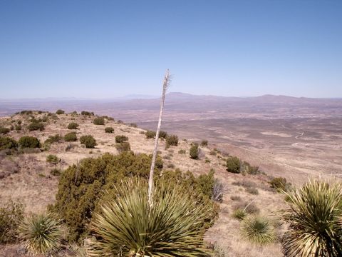 1996 Ford Bronco - A vast desert landscape unfolds from a high vantage point, with sparse vegetation dotting the hills and a distant town visible.