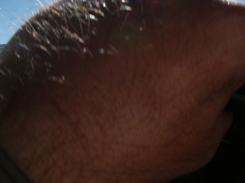 1996 Ford Bronco - The interior of a vehicle is visible, with a person's hairy arm dominating the foreground, obscuring much of the view.
