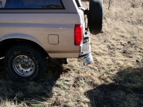 1996 Ford Bronco - The rear quarter panel and spare tire of a tan Ford Bronco are visible in a dry, grassy outdoor setting.