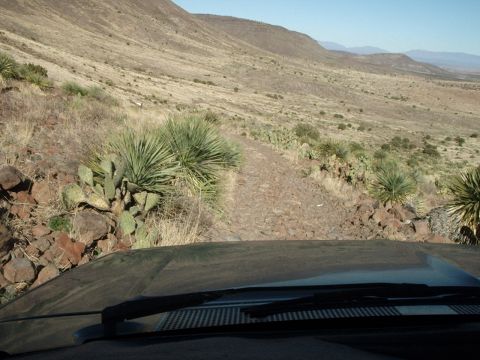1996 Ford Bronco - Driving on a rough dirt road through a desert landscape with sparse vegetation and distant mountains under a clear blue sky.