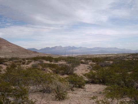 1996 Ford Bronco - A wide view of a desert terrain with sparse vegetation and a mountain range on the horizon under a partly cloudy sky.
