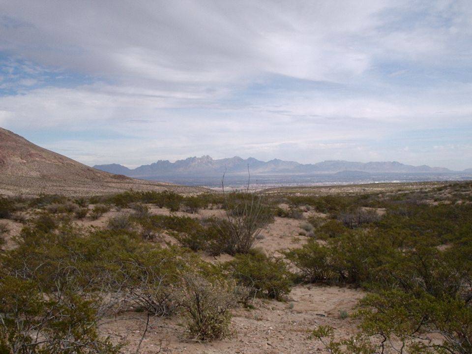 Desert landscape with scrub brush and distant mountains under a cloudy sky