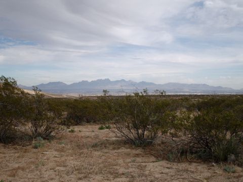 1996 Ford Bronco - Expansive desert scenery with distant mountains and scrub brush under a cloudy sky.