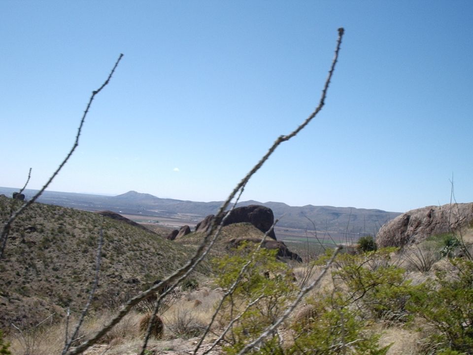 Desert landscape with scrub brush, rocks, and distant mountains under a clear blue sky