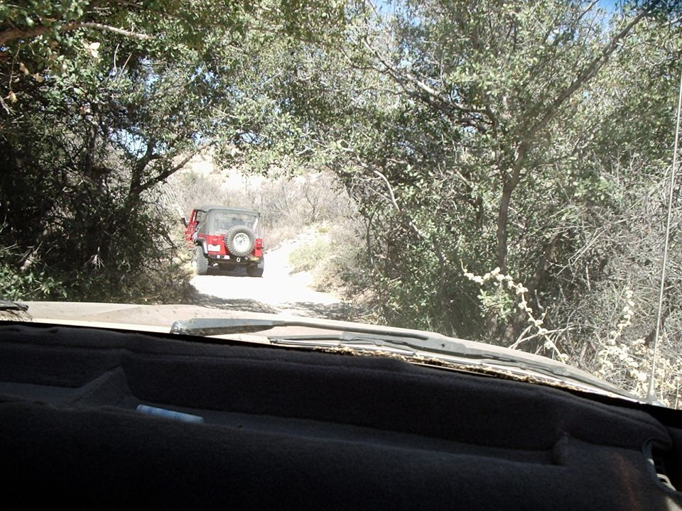 They should really make Jeeps bigger.