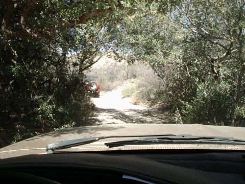 1996 Ford Bronco - If you're worried about the paint on your Bronco, you should not try to follow a bunch of Jeeps.