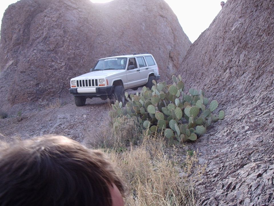 White Jeep Cherokee XJ climbing a rocky trail with prickly pear cactus nearby