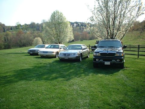 1996 Mercury Grand Marquis - Some of the cars, off driveway while cleaning driveway/garage Picture taken 04/2005