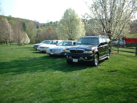 1996 Mercury Grand Marquis - Some of the cars, off driveway while cleaning driveway/garage Picture taken 04/2005