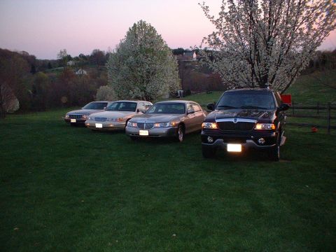1996 Mercury Grand Marquis - Some of the cars, off driveway while cleaning driveway/garage Picture taken 04/2005