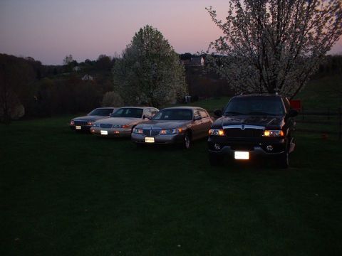1996 Mercury Grand Marquis - Some of the cars, off driveway while cleaning driveway/garage Picture taken 04/2005