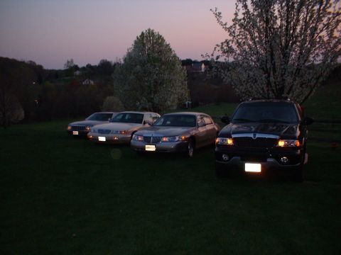 1996 Mercury Grand Marquis - Some of the cars, off driveway while cleaning driveway/garage Picture taken 04/2005
